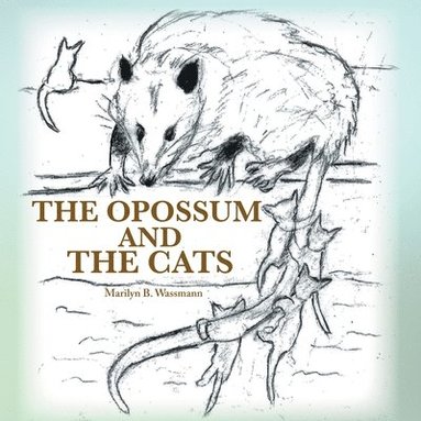 bokomslag The Opossum and the Cats