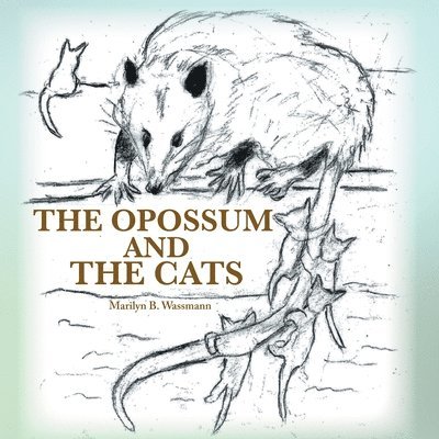 Opossum and the Cats