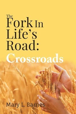 bokomslag Fork In Life's Road