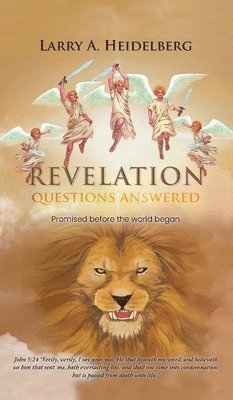 bokomslag Revelation Questions Answered