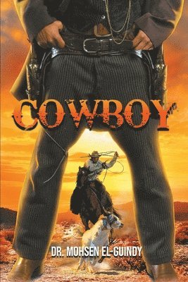 bokomslag Cowboy