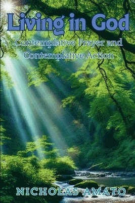 bokomslag Living in God