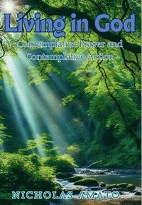 bokomslag Living in God