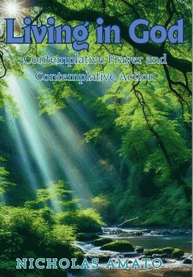 bokomslag Living in God