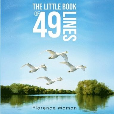 bokomslag Little Book of 49 Lines