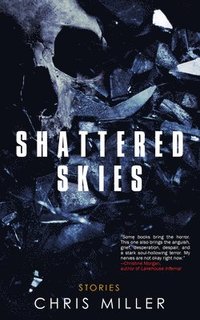 bokomslag Shattered Skies