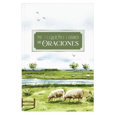 bokomslag Mi Pequeno Libro de Oraciones