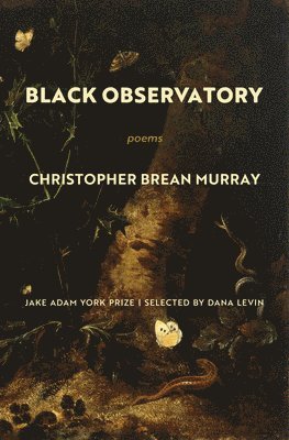 Black Observatory 1