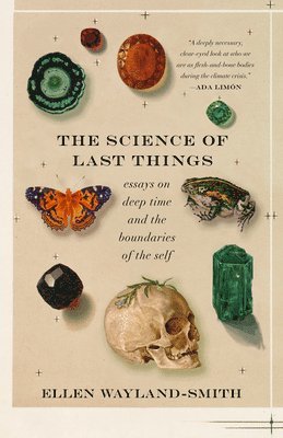 bokomslag Science of Last Things