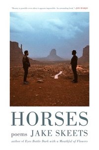 bokomslag Horses