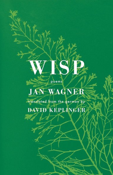 Jan Wagner, David Keplinger - Wisp, Häftad