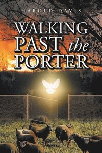 bokomslag Walking Past the Porter
