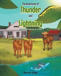 bokomslag Adventures of Thunder and Lightning