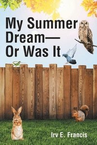 bokomslag My Summer Dream - Or Was It