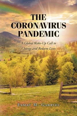 The Coronavirus Pandemic 1