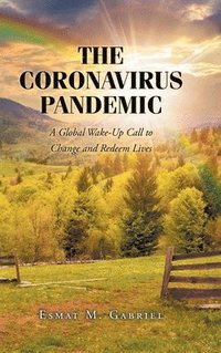 bokomslag The Coronavirus Pandemic