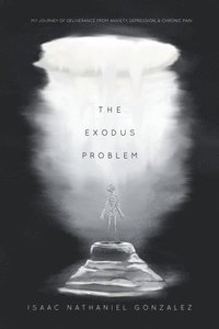 bokomslag The Exodus Problem