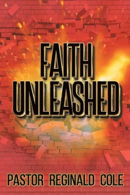 bokomslag Faith Unleashed