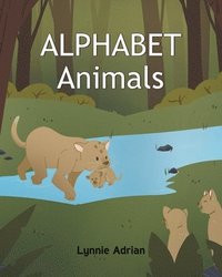 bokomslag Alphabet Animals