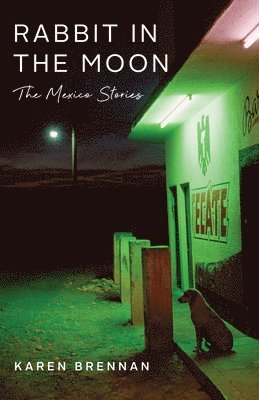 Rabbit in the Moon: The Mexico Stories 1