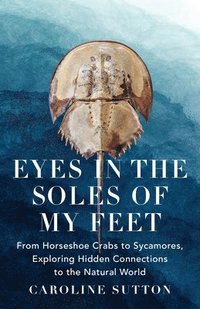 bokomslag Eyes in the Soles of My Feet: From Horseshoe Crabs to Sycamores, Exploring Hidden Connections to the Natural World