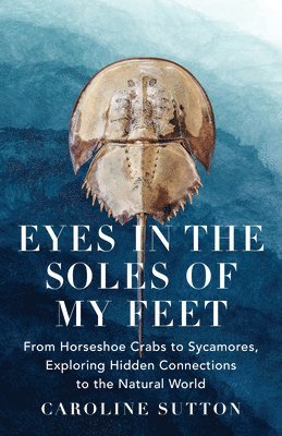 bokomslag Eyes in the Soles of My Feet