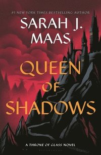 bokomslag Queen of Shadows