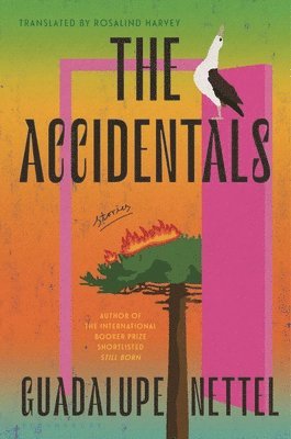 bokomslag The Accidentals: Stories