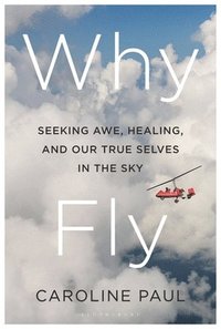 bokomslag Why Fly: Seeking Awe, Healing, and Our True Selves in the Sky