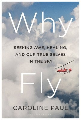 bokomslag Why Fly: Seeking Awe, Healing, and Our True Selves in the Sky