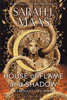 House of Flame and Shadow 1