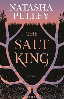 Natasha Pulley - Salt King, Inbunden