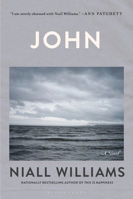 Niall Williams - John, Häftad