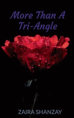 More Than A Tri-angle 1