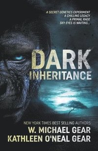 bokomslag Dark Inheritance