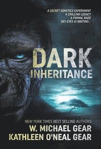 bokomslag Dark Inheritance