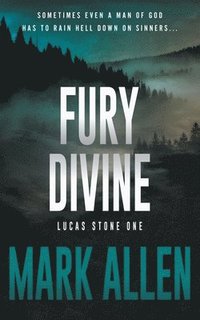 bokomslag Fury Divine
