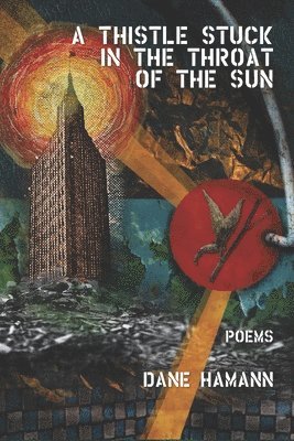 Dane Hamann - Thistle Stuck in the Throat of the Sun, Häftad
