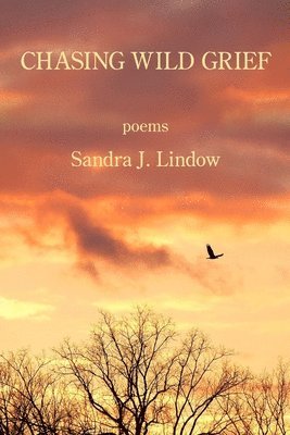 Sandra J Lindow, Sandra J. Lindow - Chasing Wild Grief, Häftad