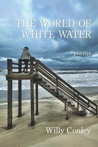 bokomslag The World of White Water