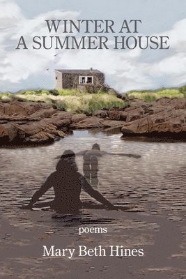 Mary Beth Hines - Winter at a Summer House, Häftad. Tillgänglighet: Lägg i varukorg