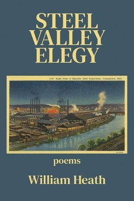 bokomslag Steel Valley Elegy