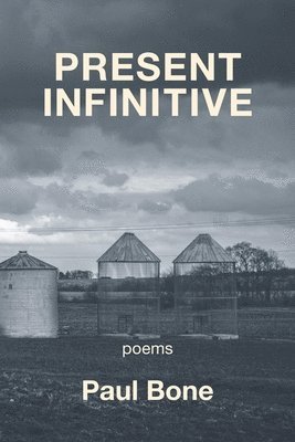 bokomslag Present Infinitive