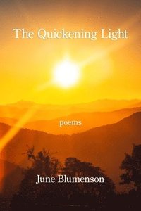 bokomslag The Quickening Light