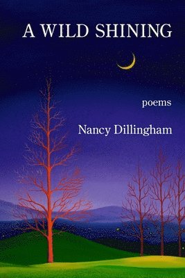 Nancy Dillingham - Wild Shining, Häftad