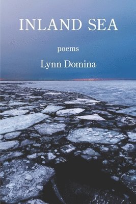 Lynn Domina - Inland Sea, Häftad