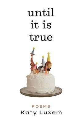 bokomslag Until It Is True