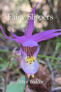 bokomslag Fairy Slippers