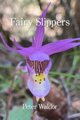 Fairy Slippers 1