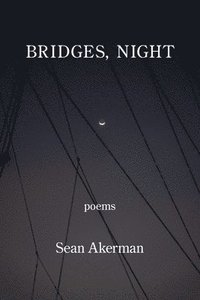 bokomslag Bridges, Night